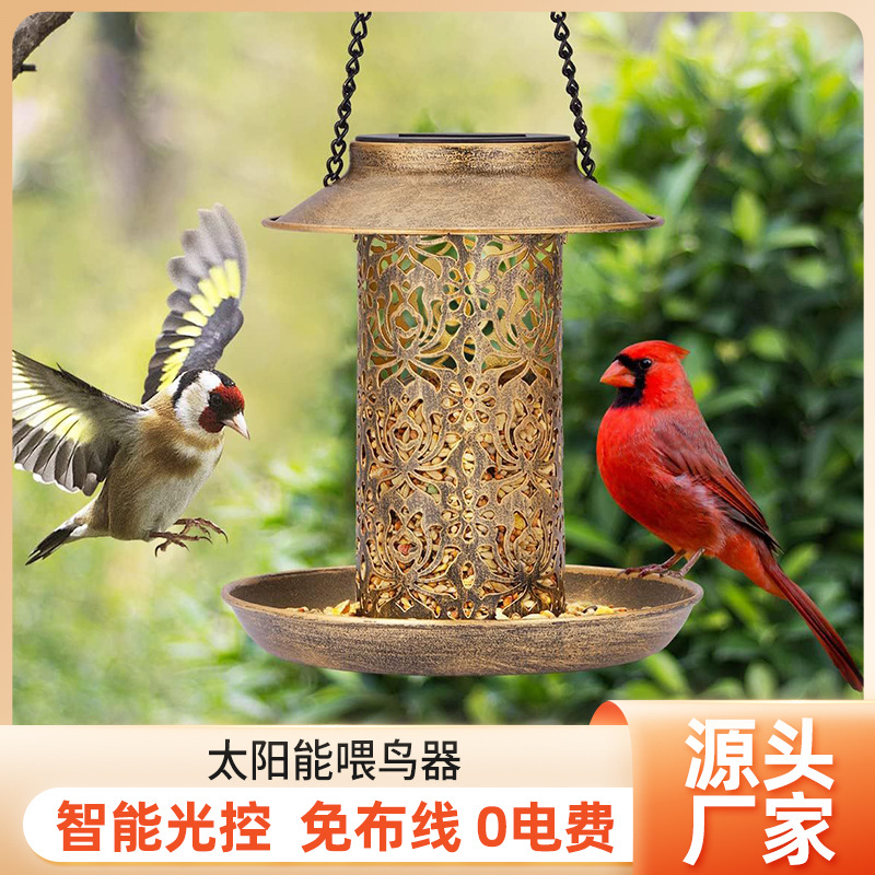 Comedero para Pájaros Solar de - Outdoor Lighting Ideas For Backyard reseña y precio